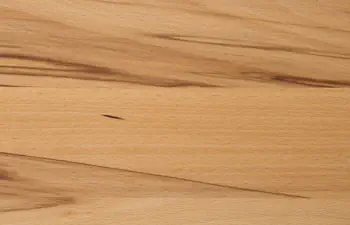 Die Holzschmiede