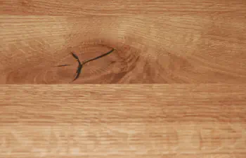 Die Holzschmiede